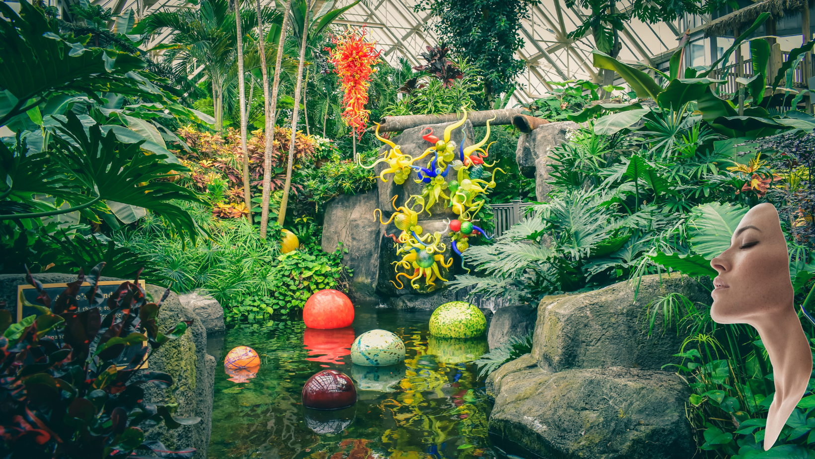 An image of a garden filled with diverse ecosystems in bright colors. On the side, the silhouette of a woman with her eyes closed, breathing it all in. 